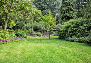 Optimiser l'expérience du jardin à Gauchin-Verloingt